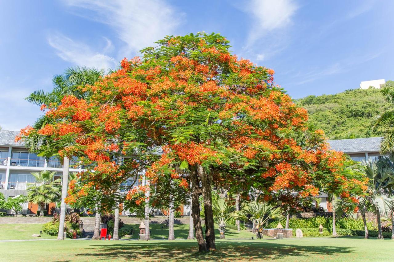 Mandarin Oriental, Sanya Hotel Bagian luar foto